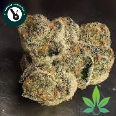 Buy Afghani Hawaiian Strain