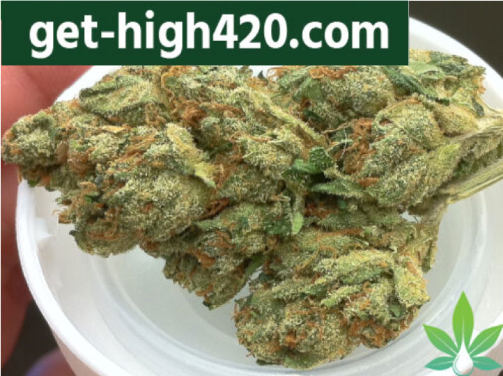 Buy Alaskan Thunder Fuck Strain