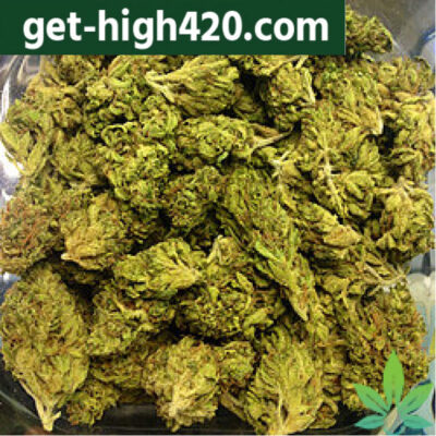 Buy Grape Ape strain