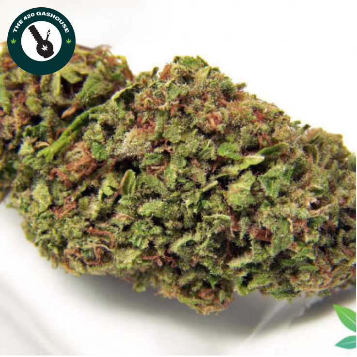 Buy Northern Lights Strain