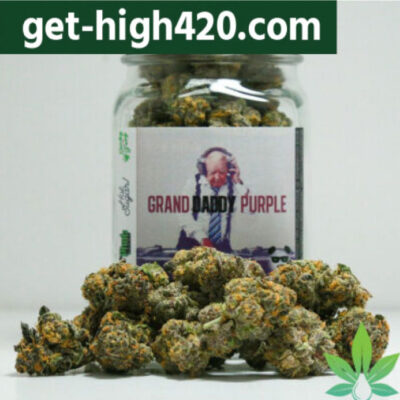 Purple Weed Strains