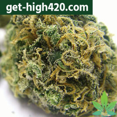 Kosher Kush (Reserva Privada)