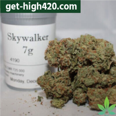 Skywalker OG Strain