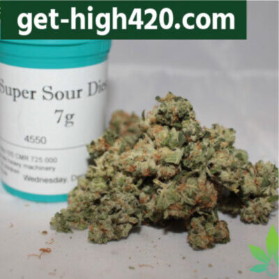 Sour Diesel (DNA Genetics)