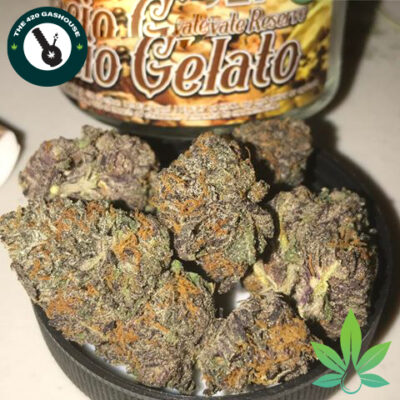 Buy Gelato strains