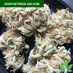 California Trainwreck