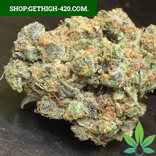 Buy Skunk Korean Strain