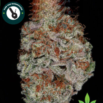 Gods Gift Cannabis Strain Online