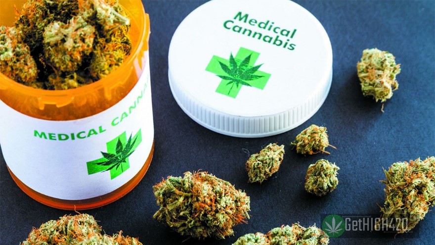 Don’t Live with Anxiety Apply for a Medical Cannabis Card Get High 420