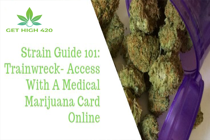 Strain Guide 101: Trainwreck – Access with a Marijuana Card for Medical Purposes