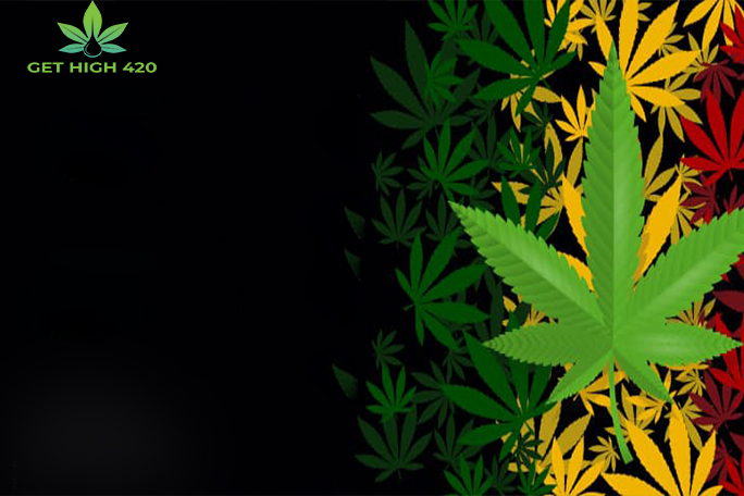What can Digital Marketing do for Cannabis Business?