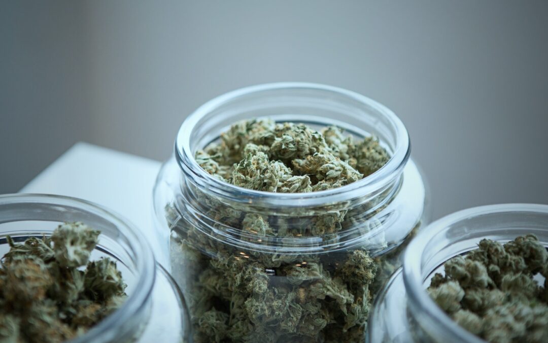 The Best Smell Proof CBD Bags You Can Use