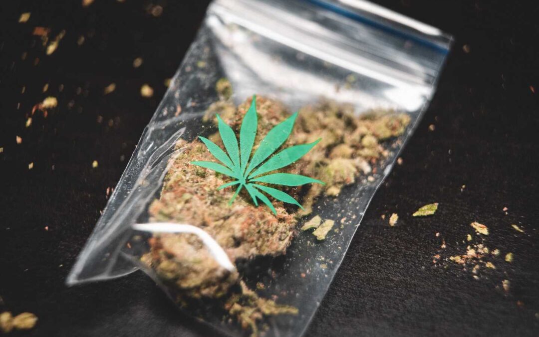 Maximizing Efficiency And Compliance In The Cannabis Industry With Advanced Cannabis Packaging Machines